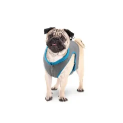 All For Paws Chill Out Cooling Vest -Pet World Outlet Sales all for paws chill out cooling vest wxb3.jpg
