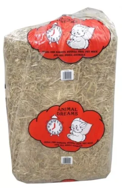 Animal Dreams Straw Bale Giant