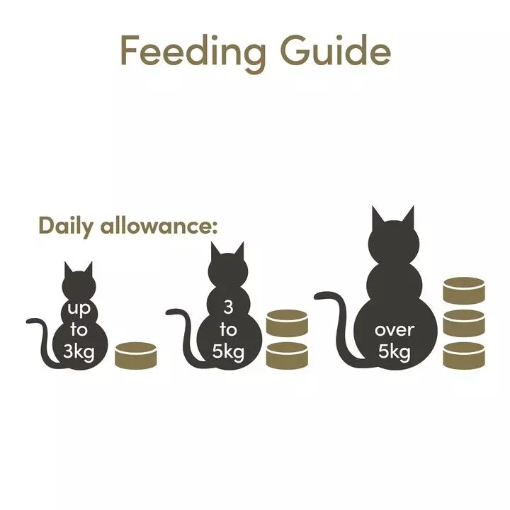 Applaws Natural Wet Senior Cat Food Chicken In Jelly 5 Applaws Natural Wet Senior Cat Food Chicken In Jelly - Image 5