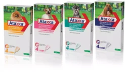 Ataxxa Spot-on Dog