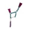 Battles Hy Equestrian DynaMizs Ecliptic Fleece Head Collar & Lead Rope Plum & Teal