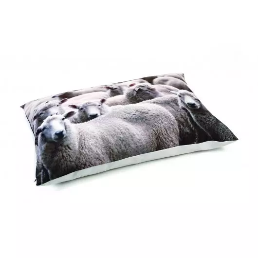 Beeztees Lounge Cushion 1 Beeztees Lounge Cushion