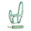 Bitz Stripe Two Tone Headcollar & Lead Rope Set Aqua/Lime