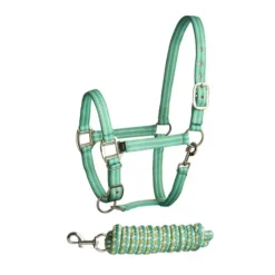 Bitz Stripe Two Tone Headcollar & Lead Rope Set Aqua/Lime
