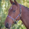 Blenheim Red/Navy Leather Polo Headcollar