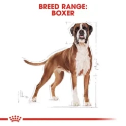 ROYAL CANIN® Boxer Adult Dry Dog Food 9 ROYAL CANIN® Boxer Adult Dry Dog Food -Pet World Outlet Sales boxer adult h25h.jpg