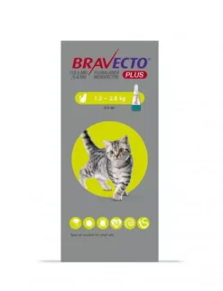 Bravecto Plus Spot-On For Cats