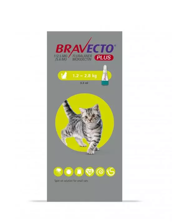 Bravecto Plus Spot-On For Cats 1 Bravecto Plus Spot-On For Cats