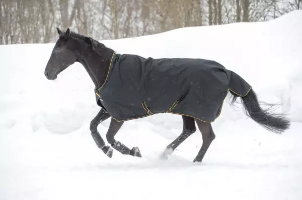 Bucas Irish Turnout 150 1 Bucas Irish Turnout 150