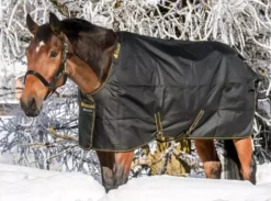 Bucas Irish Turnout Light