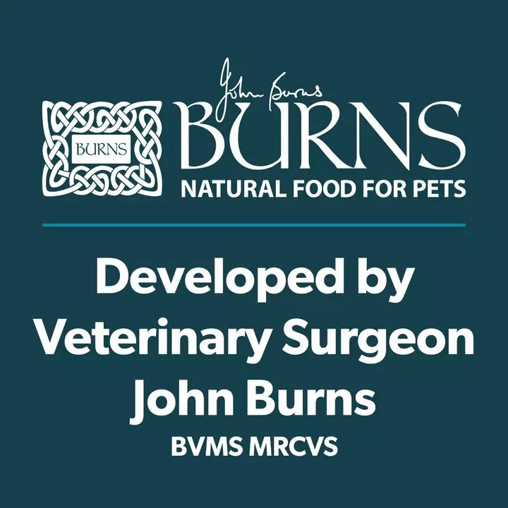 Burns Free From Toy & Small Breed Adult & Senior Dog Food 3 Burns Free From Toy & Small Breed Adult & Senior Dog Food - Image 3
