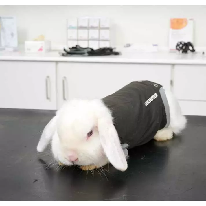 KRUUSE Buster Body Suit For Rabbits 2 KRUUSE Buster Body Suit For Rabbits - Image 2