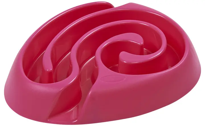 Buster Dog Maze Bowl 6 Buster Dog Maze Bowl - Image 6