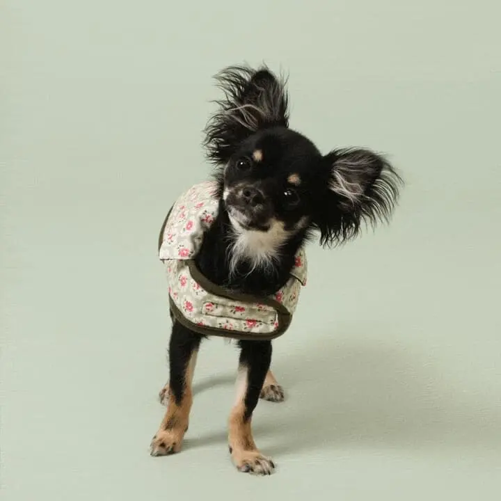 Cath Kidston Provence Rose Reversible Wax Coated Country Jacket 3 Cath Kidston Provence Rose Reversible Wax Coated Country Jacket - Image 3