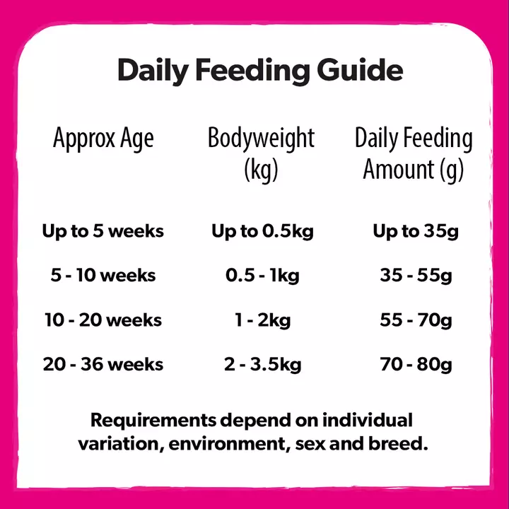 Burns Chicken And Rice Kitten Food 4 Burns Chicken And Rice Kitten Food - Image 4