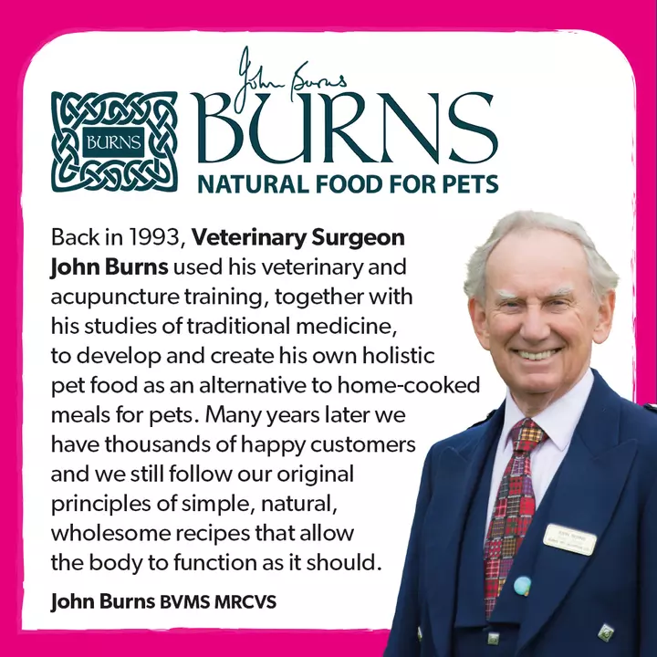 Burns Chicken And Rice Kitten Food 2 Burns Chicken And Rice Kitten Food - Image 2