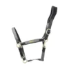 ColdStream Bathan Headcollar Black & Grey