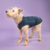 Digby & Fox Softshell Dog Coat Navy