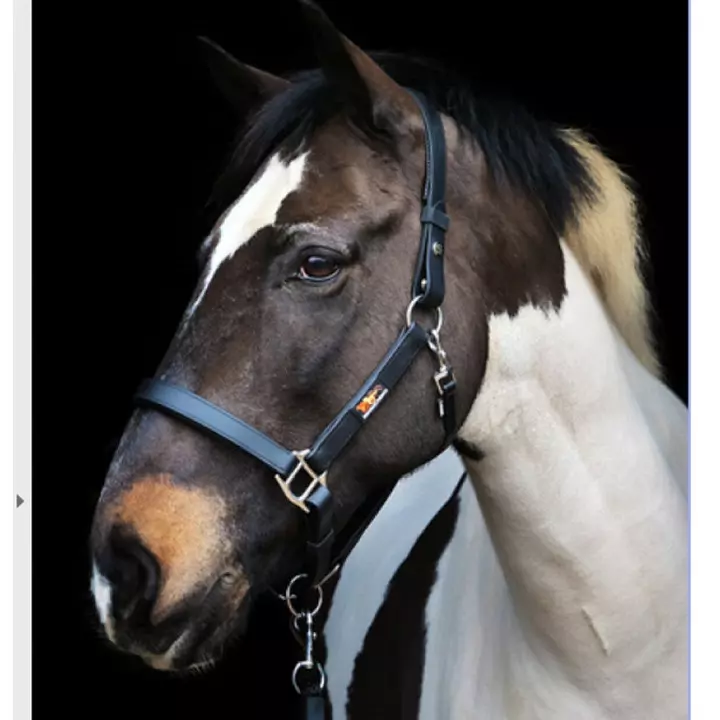 Equilibrium Stellar™ Field Safe Head Collar Black 6 Equilibrium Stellar™ Field Safe Head Collar Black - Image 6
