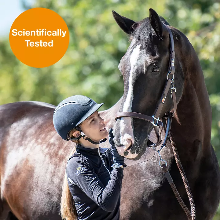 Equilibrium Stellar™ Field Safe Head Collar Black 12 Equilibrium Stellar™ Field Safe Head Collar Black - Image 12