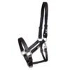 Equilibrium Stellar™ Field Safe Head Collar Black