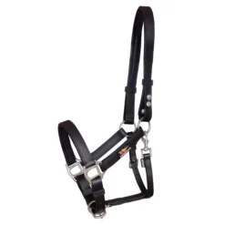 Equilibrium Stellar™ Field Safe Head Collar Black
