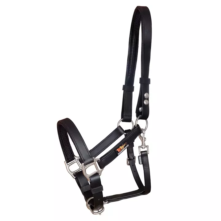 Equilibrium Stellar™ Field Safe Head Collar Black 1 Equilibrium Stellar™ Field Safe Head Collar Black