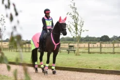 Equisafety Multi Coloured Leg Boots Pink & Yellow -Pet World Outlet Sales equisafety multi coloured leg boots pink yellow fr8e.jpg