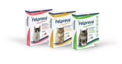 Vetoquinol Felpreva Spot-on Solution For Cats