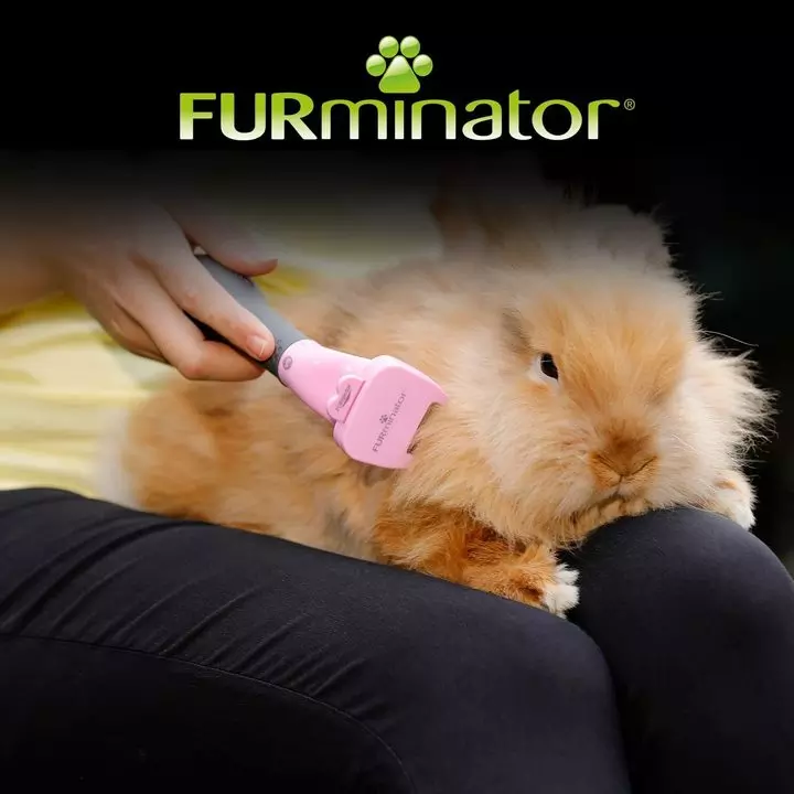 Furminator Undercoat DeShedding Tool For Small Animals 5 Furminator Undercoat DeShedding Tool For Small Animals - Image 5