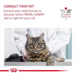 ROYAL CANIN® Gastro Intestinal Adult Cat Food -Pet World Outlet Sales gastrointestinal gi32 qhdl.jpg