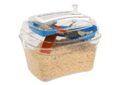 Rosewood Gerbilarium Abode