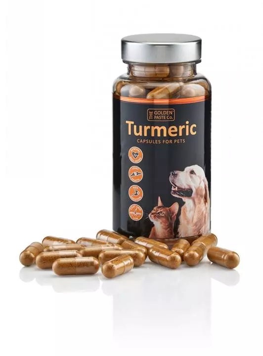 Golden Paste Company Turmeric Capsules For Dogs 1 Golden Paste Company Turmeric Capsules For Dogs