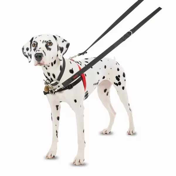 Company Of Animals Halti Front Control Dog Harness 2 Company Of Animals Halti Front Control Dog Harness - Image 2