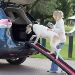 Henry Wag Lightweight Folding Pet Ramp