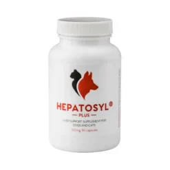 CEVA Hepatosyl Plus Liver Support -Pet World Outlet Sales hepatosyl dt82.jpg