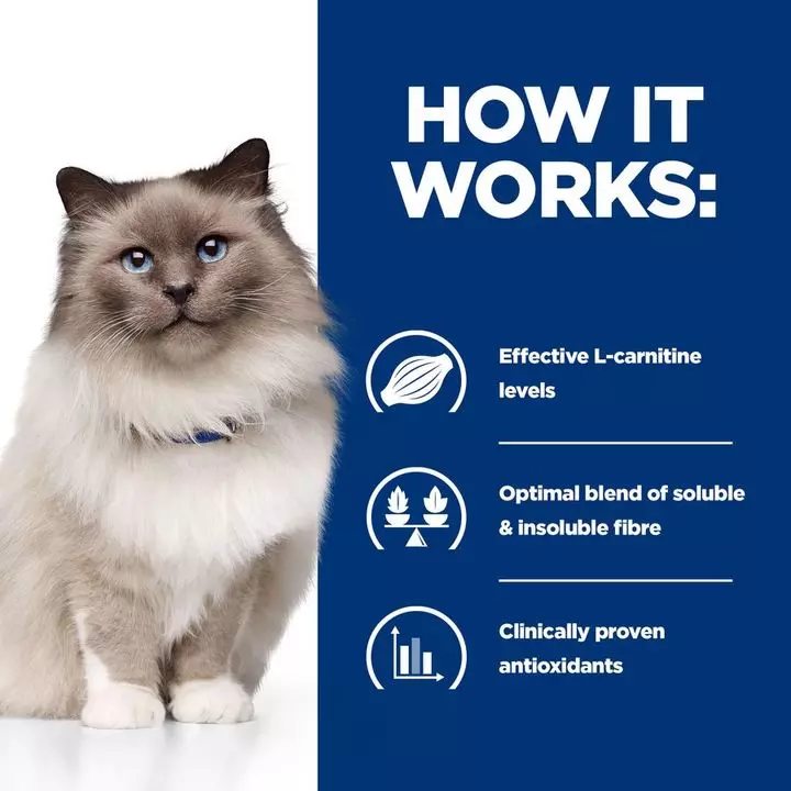 Hills Hill's Prescription Diet R/d Weight Reduction Cat Food 5 Hills Hill's Prescription Diet R/d Weight Reduction Cat Food - Image 5