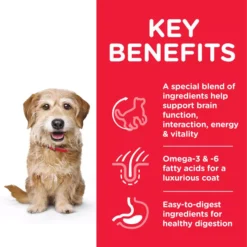 Hills Hill's Science Plan Adult 7+ Senior Vitality Small & Mini Chicken Dog Food 8 Hills Hill's Science Plan Adult 7+ Senior Vitality Small & Mini Chicken Dog Food -Pet World Outlet Sales hills science plan adult 7 senior vitality small mini chicken dog food uc7r.jpg