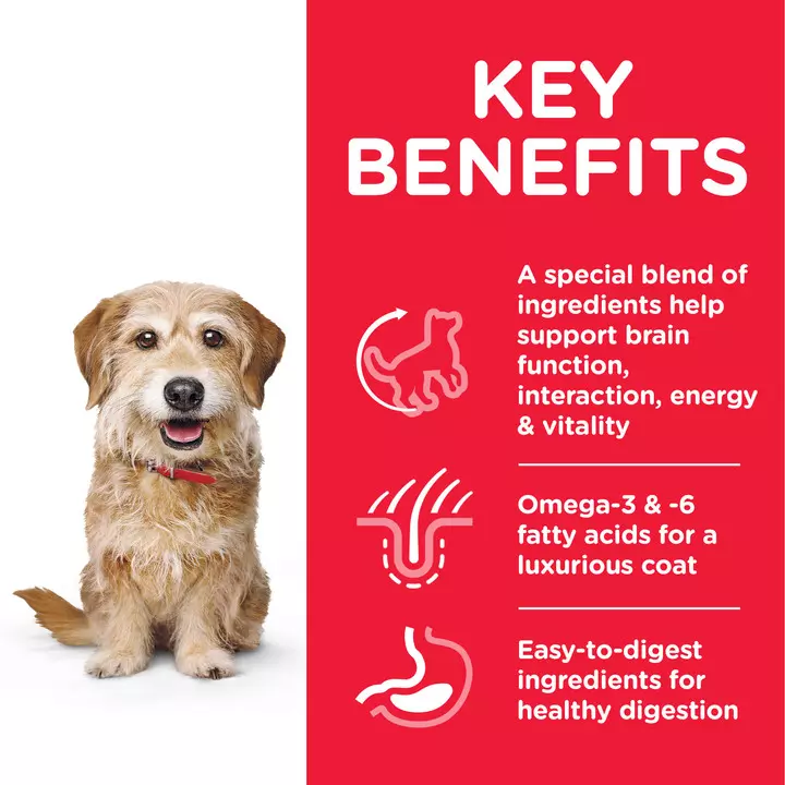 Hills Hill's Science Plan Adult 7+ Senior Vitality Small & Mini Chicken Dog Food 3 Hills Hill's Science Plan Adult 7+ Senior Vitality Small & Mini Chicken Dog Food - Image 3