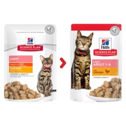 Hills Hill's Science Plan Adult Light Chicken Cat Food -Pet World Outlet Sales hills science plan adult light chicken cat food dame.jpg