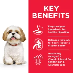 Hills Hill's Science Plan Mature Adult Small & Mini Chicken Dog Food 7 Hills Hill's Science Plan Mature Adult Small & Mini Chicken Dog Food -Pet World Outlet Sales hills science plan mature adult small mini dog food fk8i.jpg