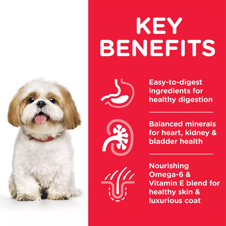 Hills Hill's Science Plan Mature Adult Small & Mini Chicken Dog Food 3 Hills Hill's Science Plan Mature Adult Small & Mini Chicken Dog Food - Image 3