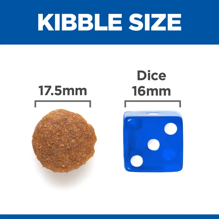 Hills Hill's Science Plan No Grain Adult Large Breed Dry Chicken Dog Food 2 Hills Hill's Science Plan No Grain Adult Large Breed Dry Chicken Dog Food - Image 2