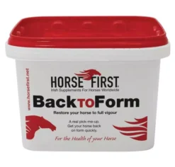 Horse First Back To Form For Horses