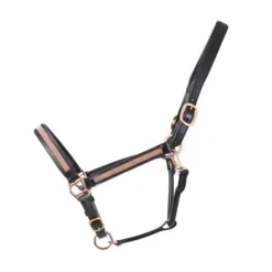 Hy Equestrian Rosciano Rose Gold Head Collar Black & Rose Gold