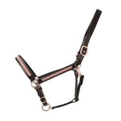 Hy Equestrian Rosciano Rose Gold Head Collar Brown & Rose Gold