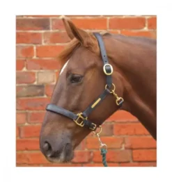 Hy Leather Head Collar