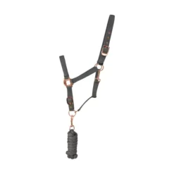Hy Rose Gold Head Collar And Lead Rope