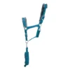 Hy Sport Active Head Collar & Lead Rope Aegean Green