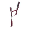 Hy Sport Active Head Collar & Lead Rope Vivid Merlot